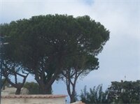 Фото Hotel Victoria Place