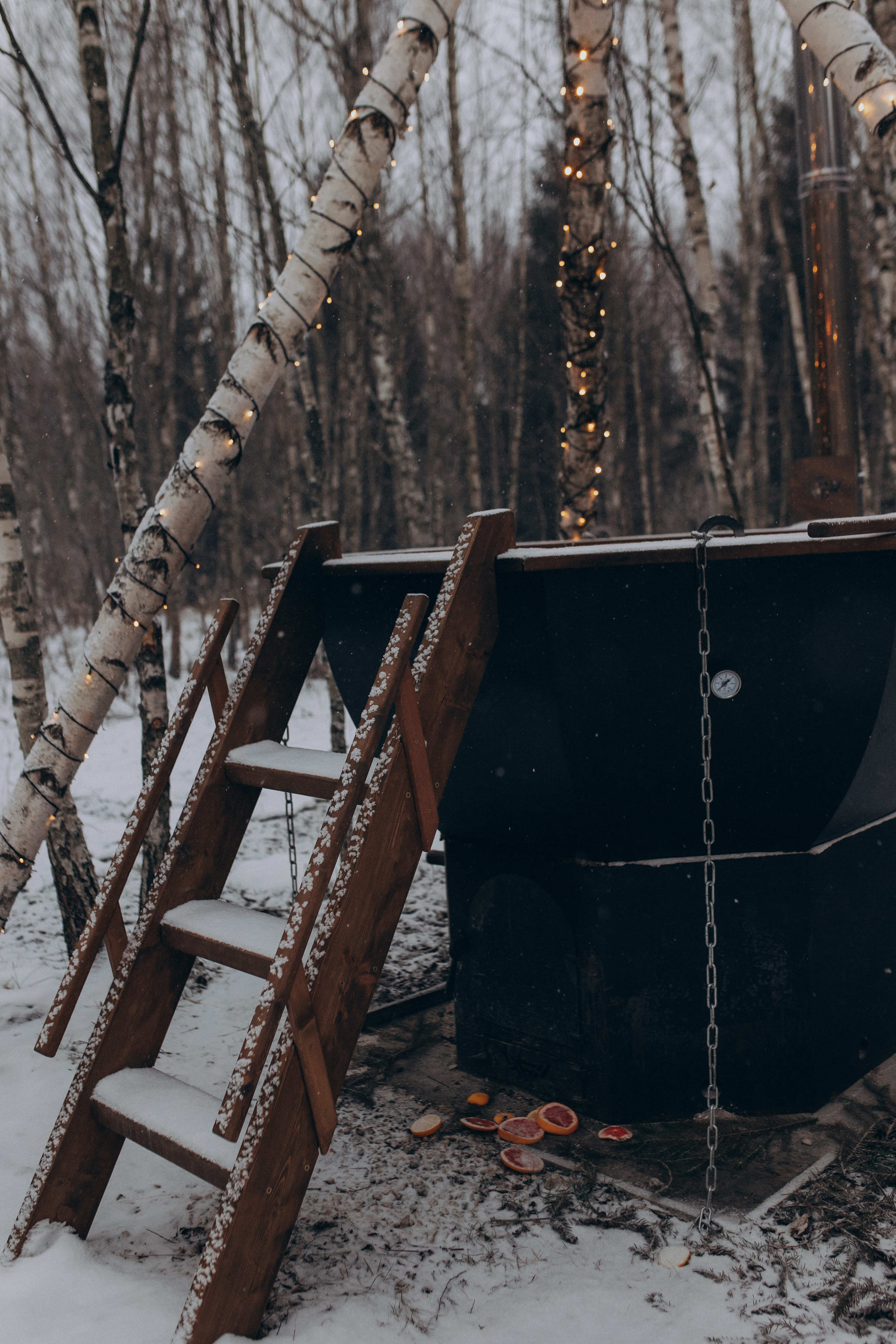 Фото Два зайца