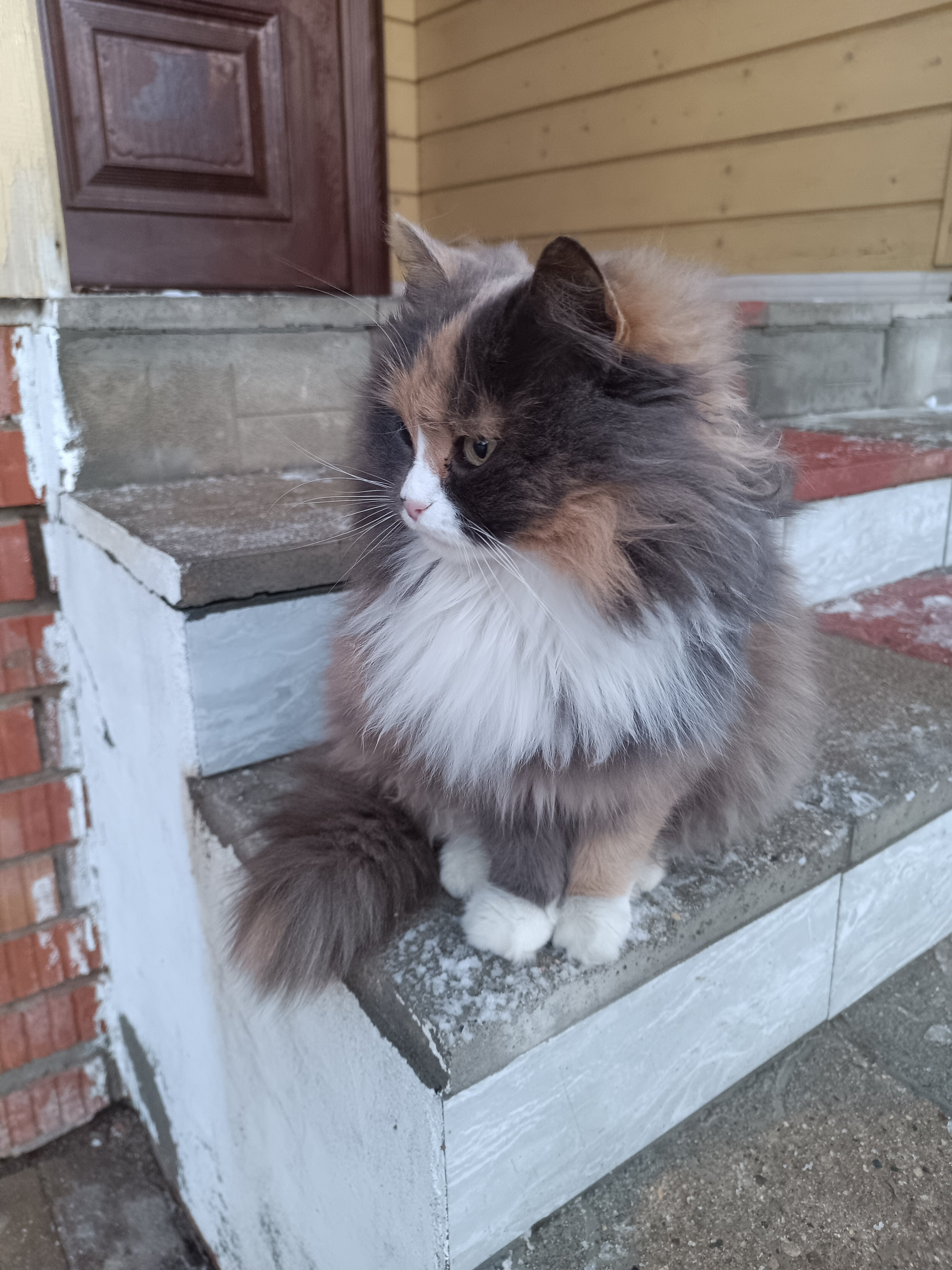 Фото Дом на Гражданской