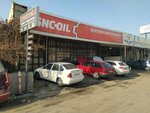 Koyuncuoglu (Konya, Selçuklu, Fatih Mah., Bağsaray Sok., 55), servicio de coches, centro de reparación de automóviles