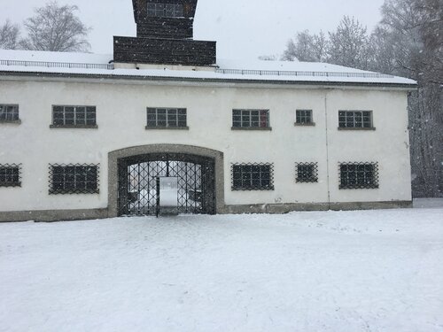 Kop marta keldim video