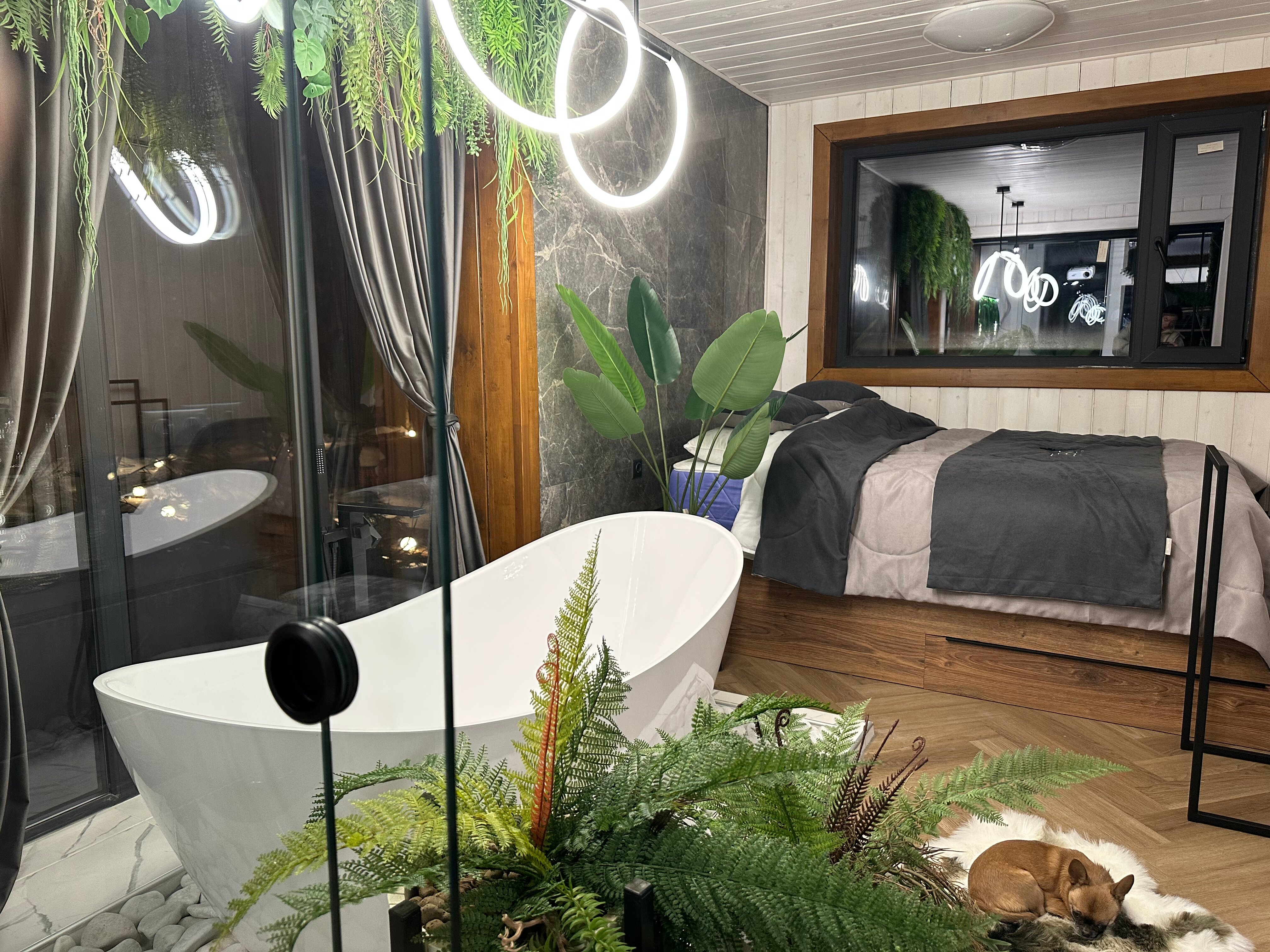 Фото Хвоя Secret Place