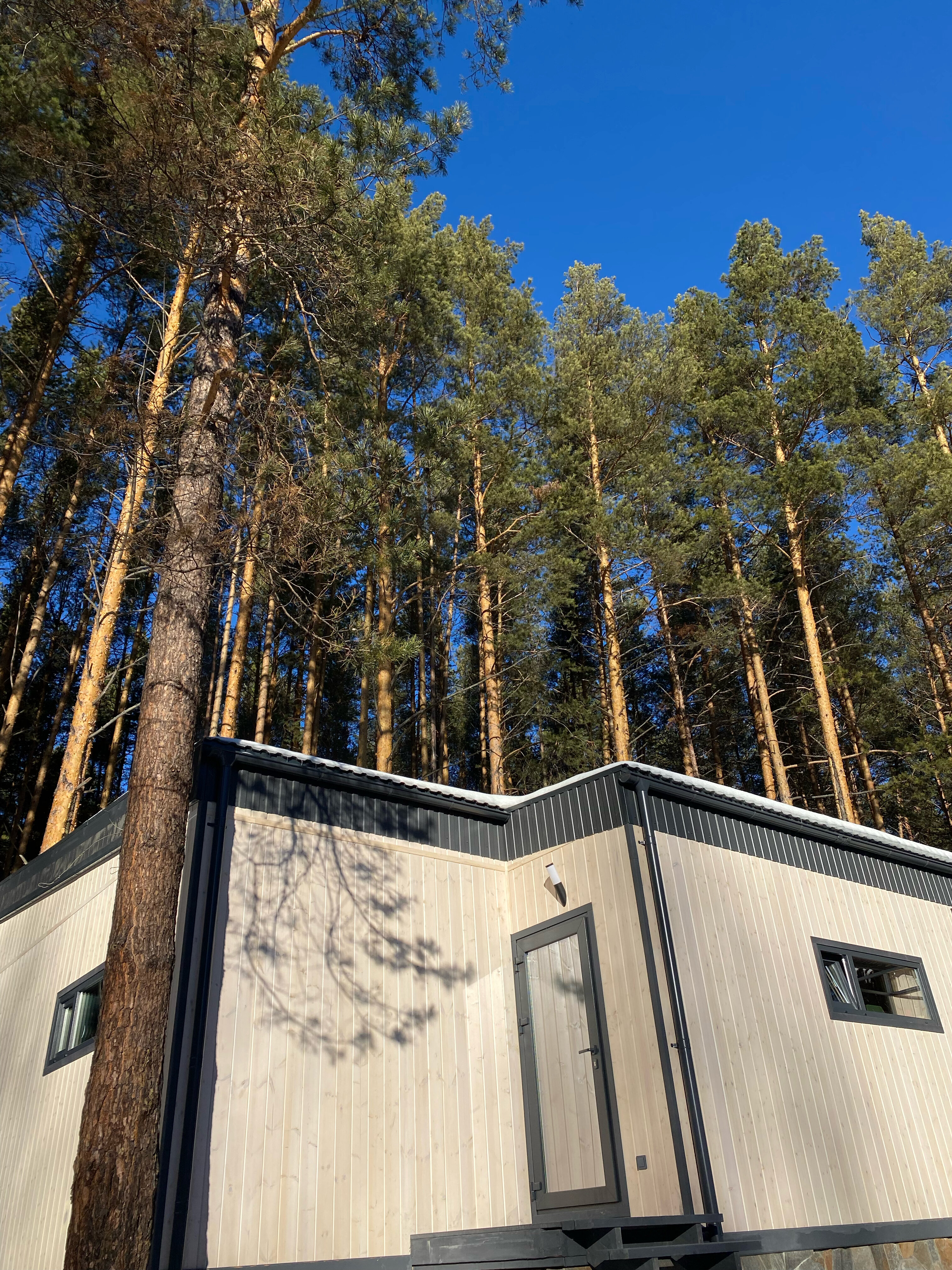 Фото Липкиглэмп