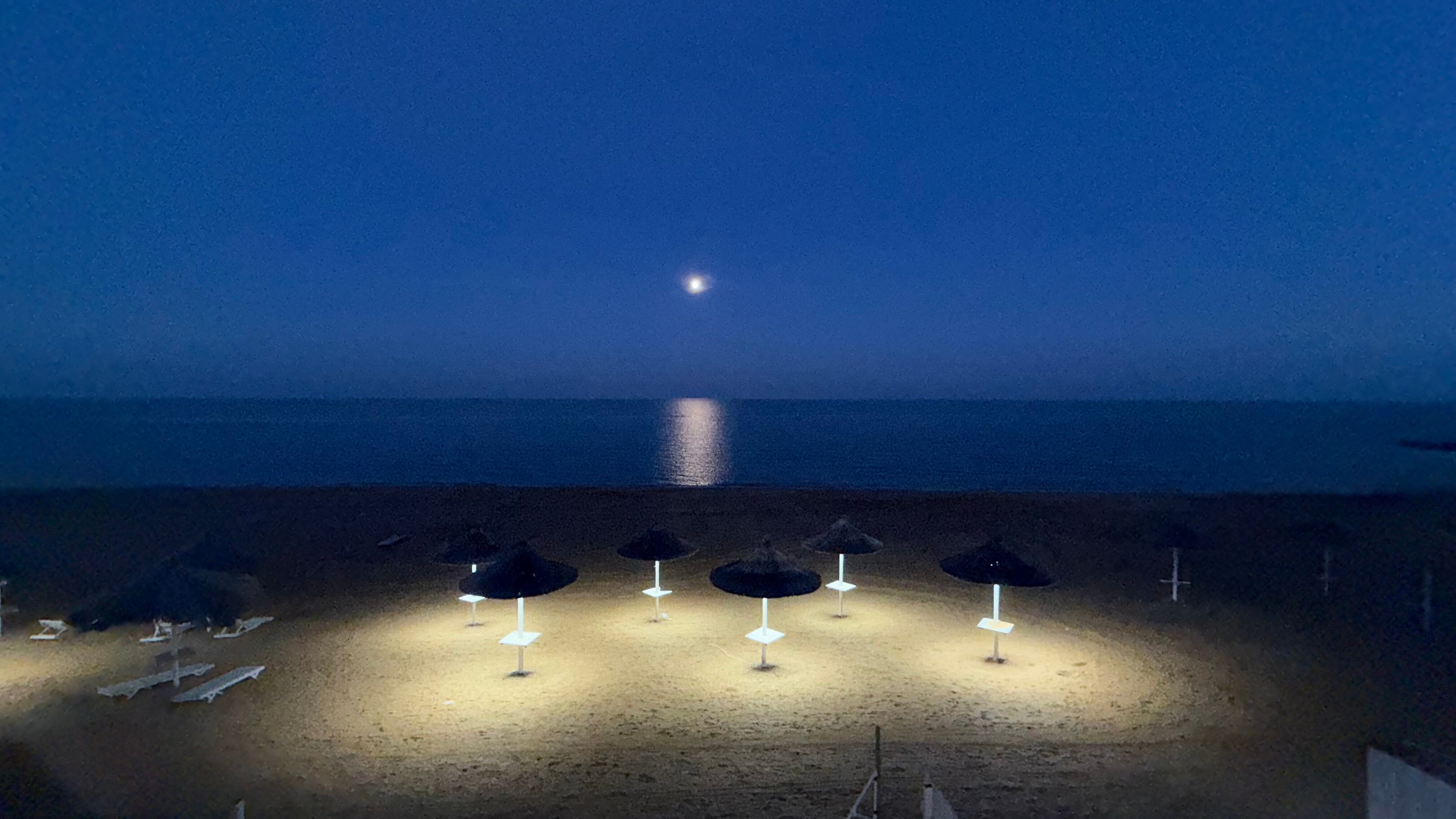 Фото Белый кит