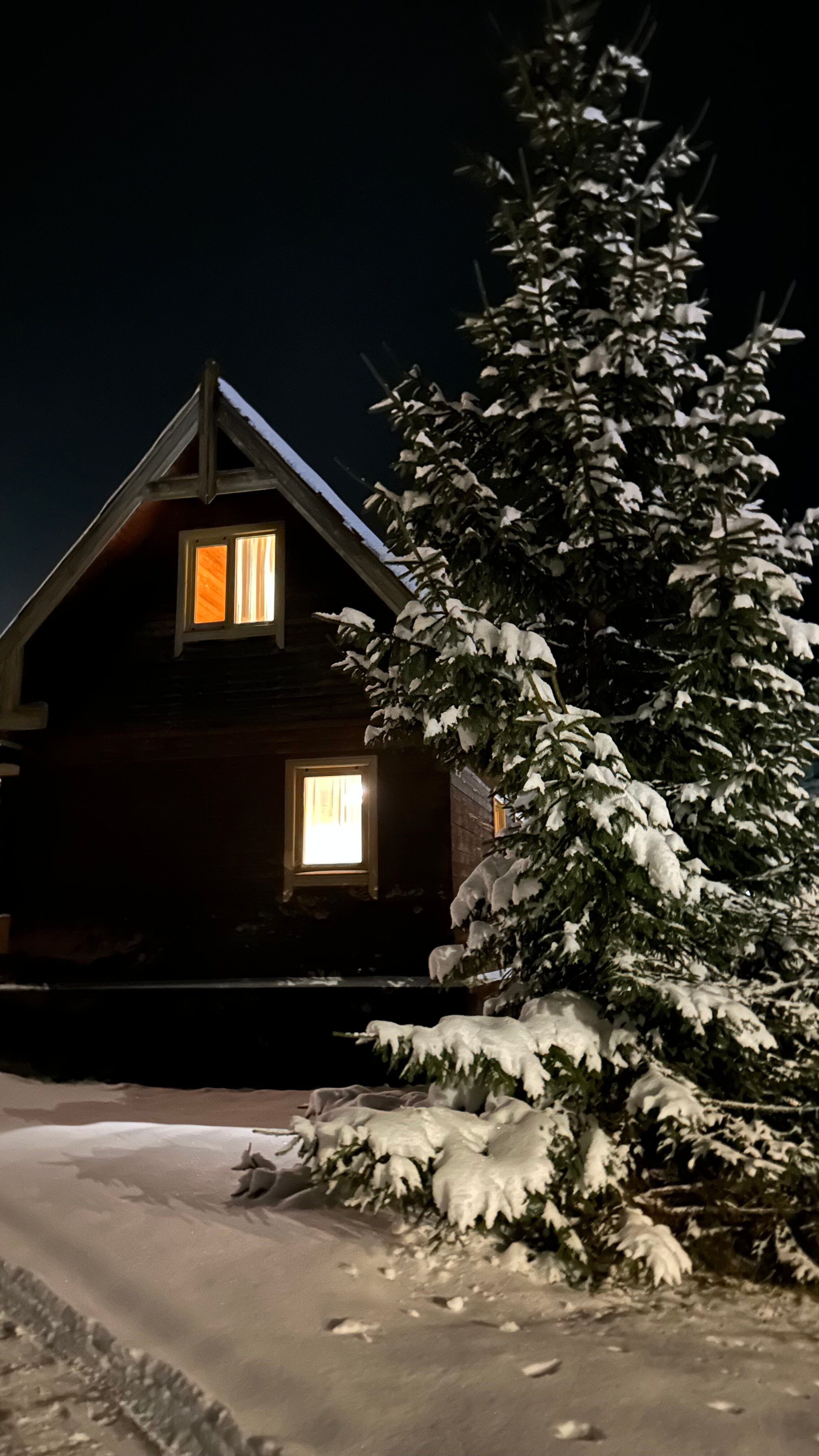 Фото Медведица