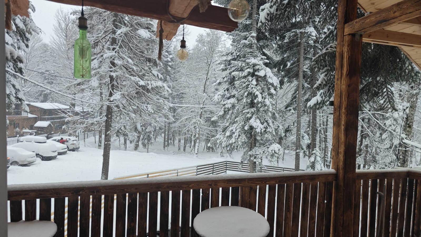 Фото Аргали