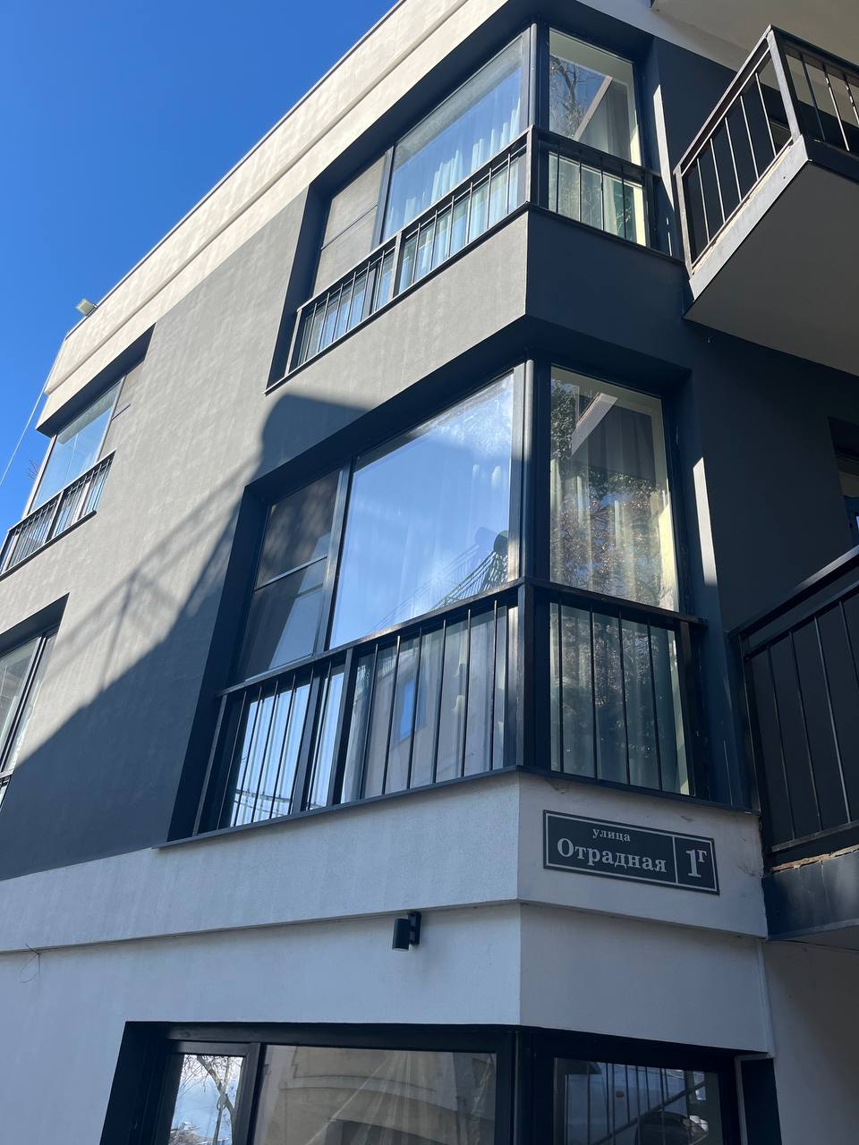 Фото Кипарис