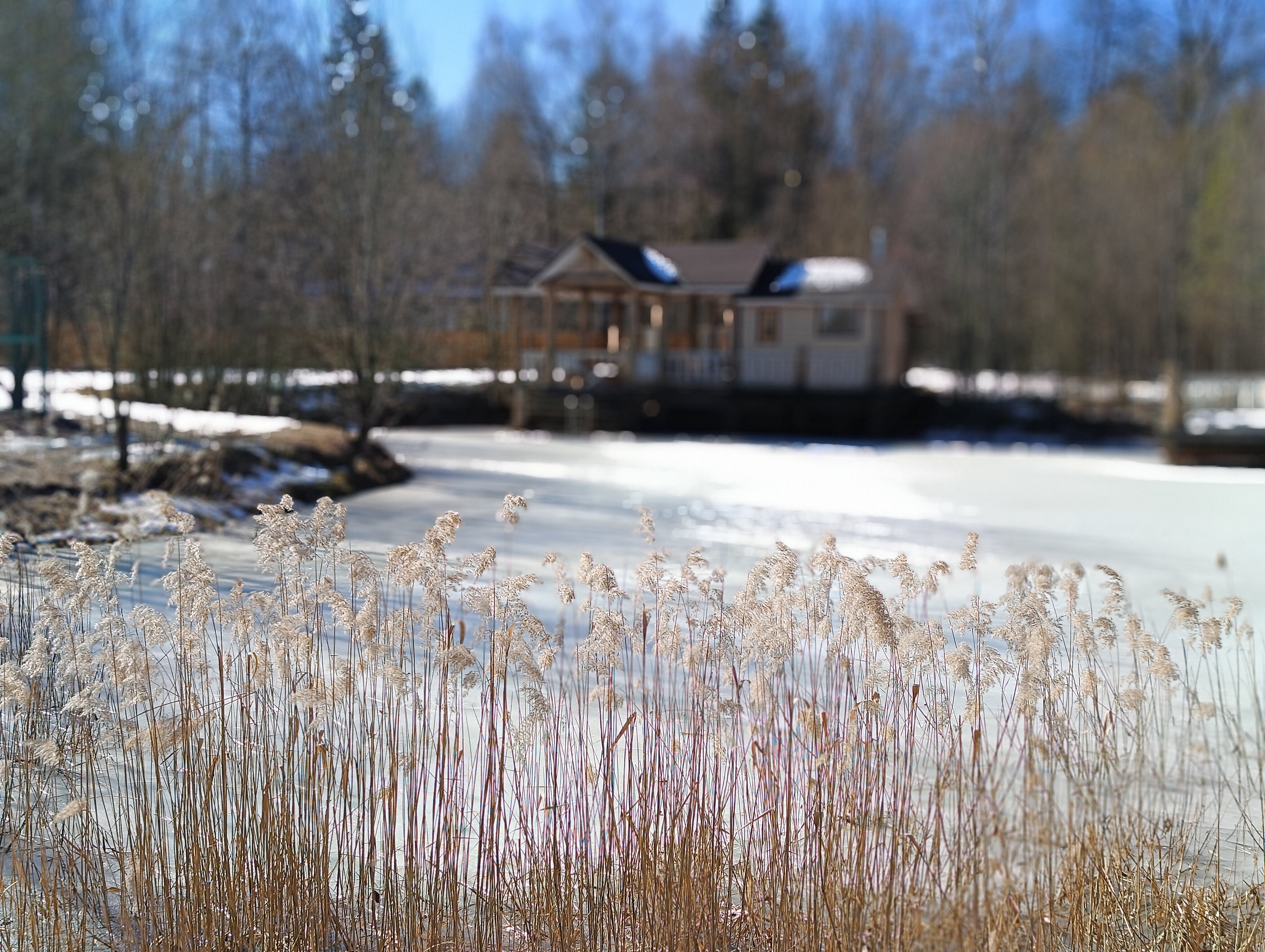 Фото Дубровский