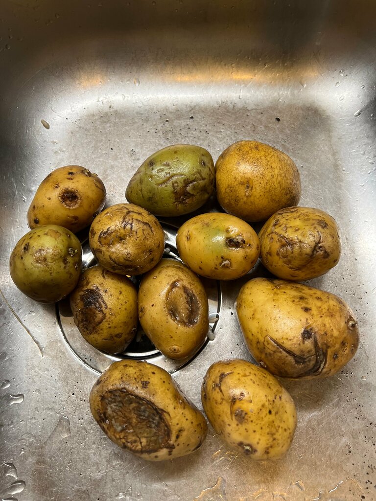 Supermarket Dixy, Moscow and Moscow Oblast, photo