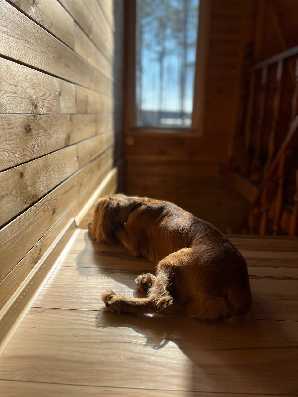 Фото Усадьба Волжское лесничество