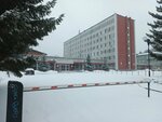 Agat (ulitsa Lermontova, 134), security company