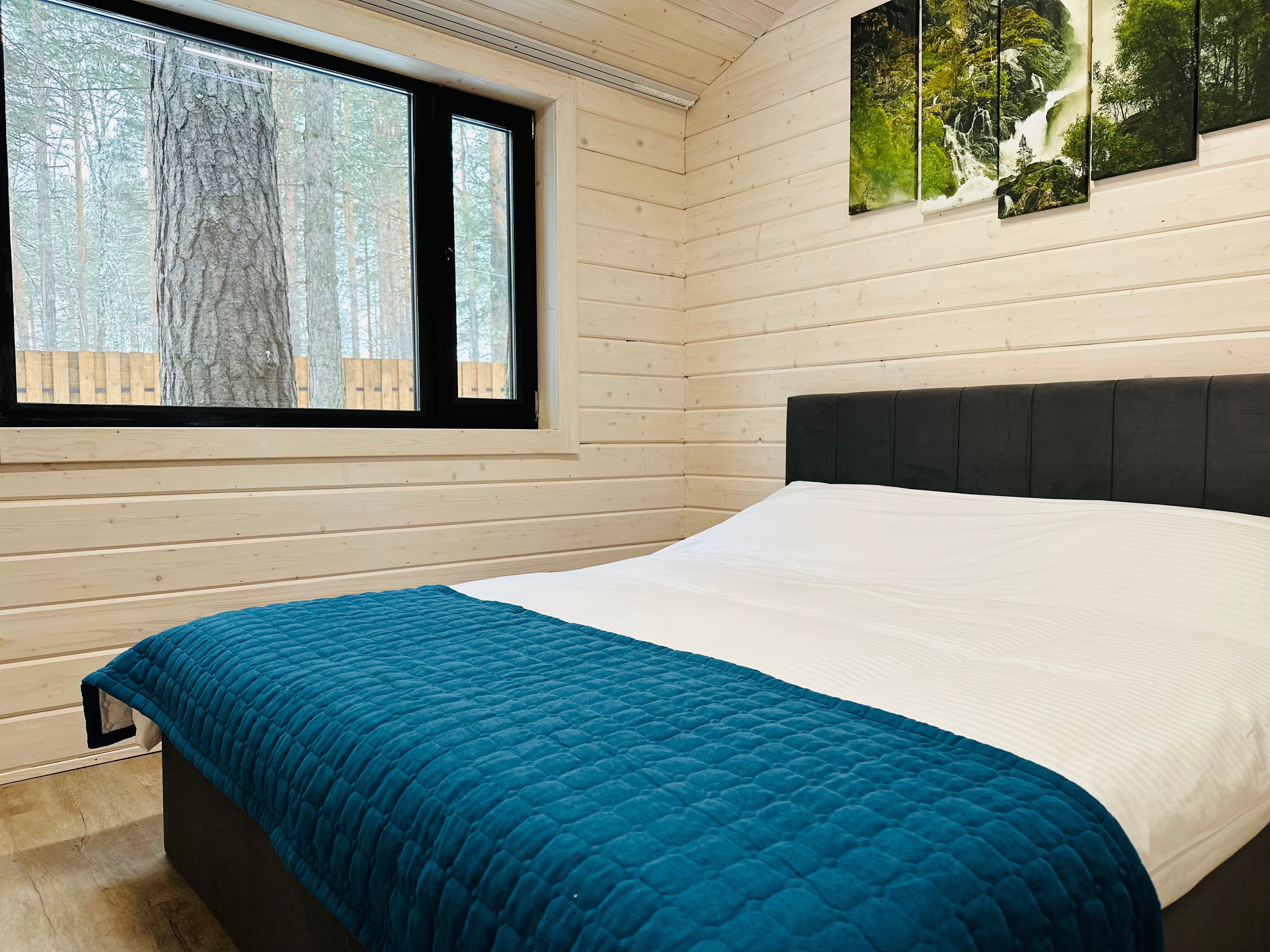 Фото Елки&голки