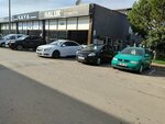 Haluk Otomotiv (Bursa, Osmangazi District, Panayir Neighborhood, 505th Street, 14) ، وكلاء سيارات
