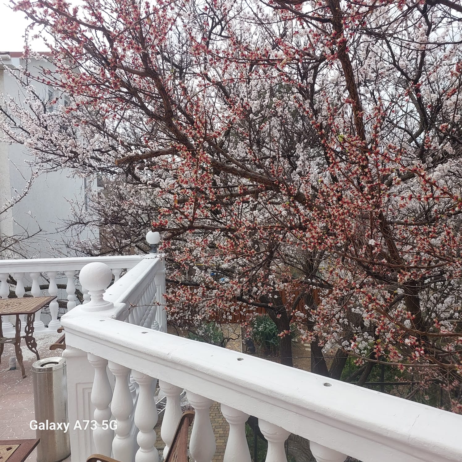 Фото Солнечный бриз