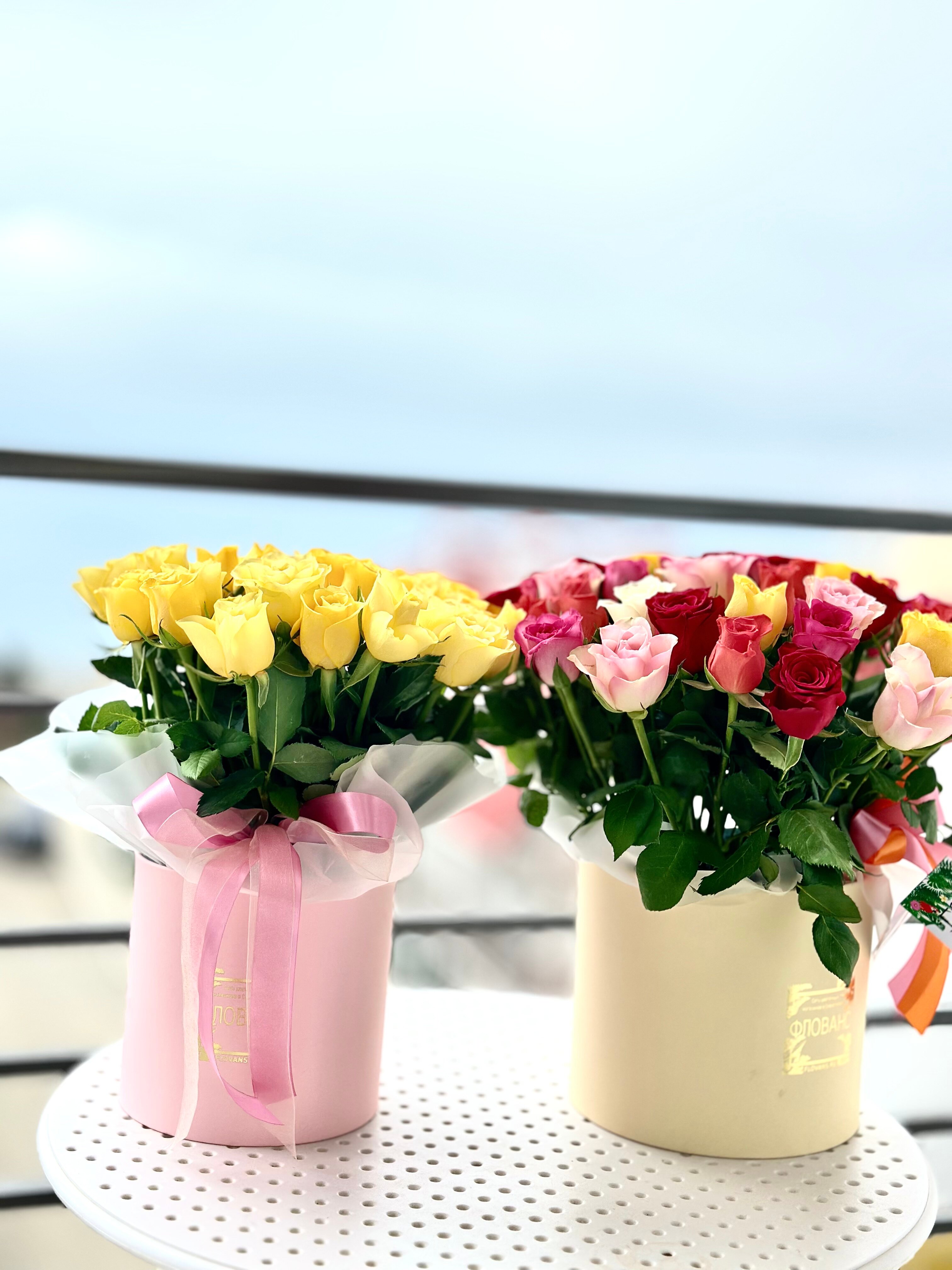 Фото Fiolent Travel