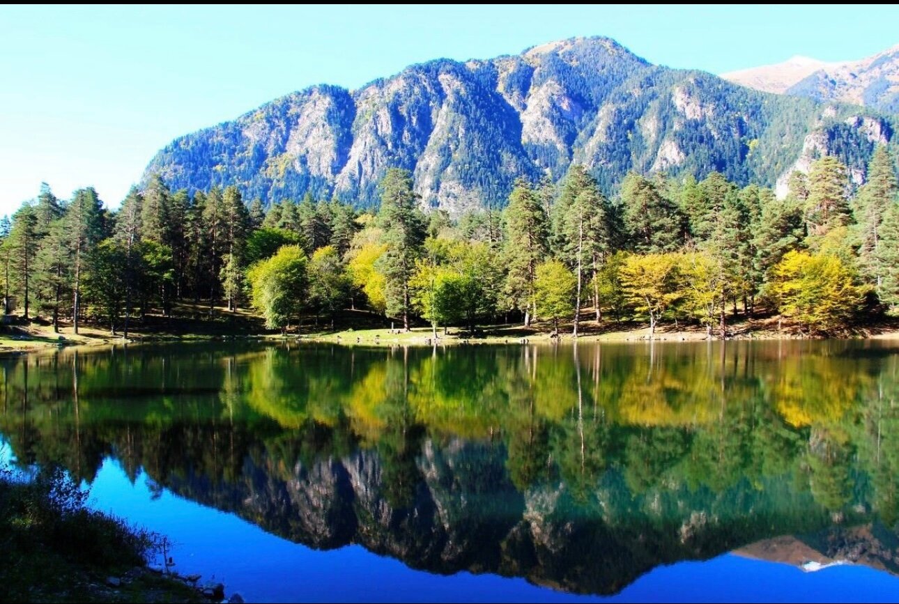 Фото Малинки