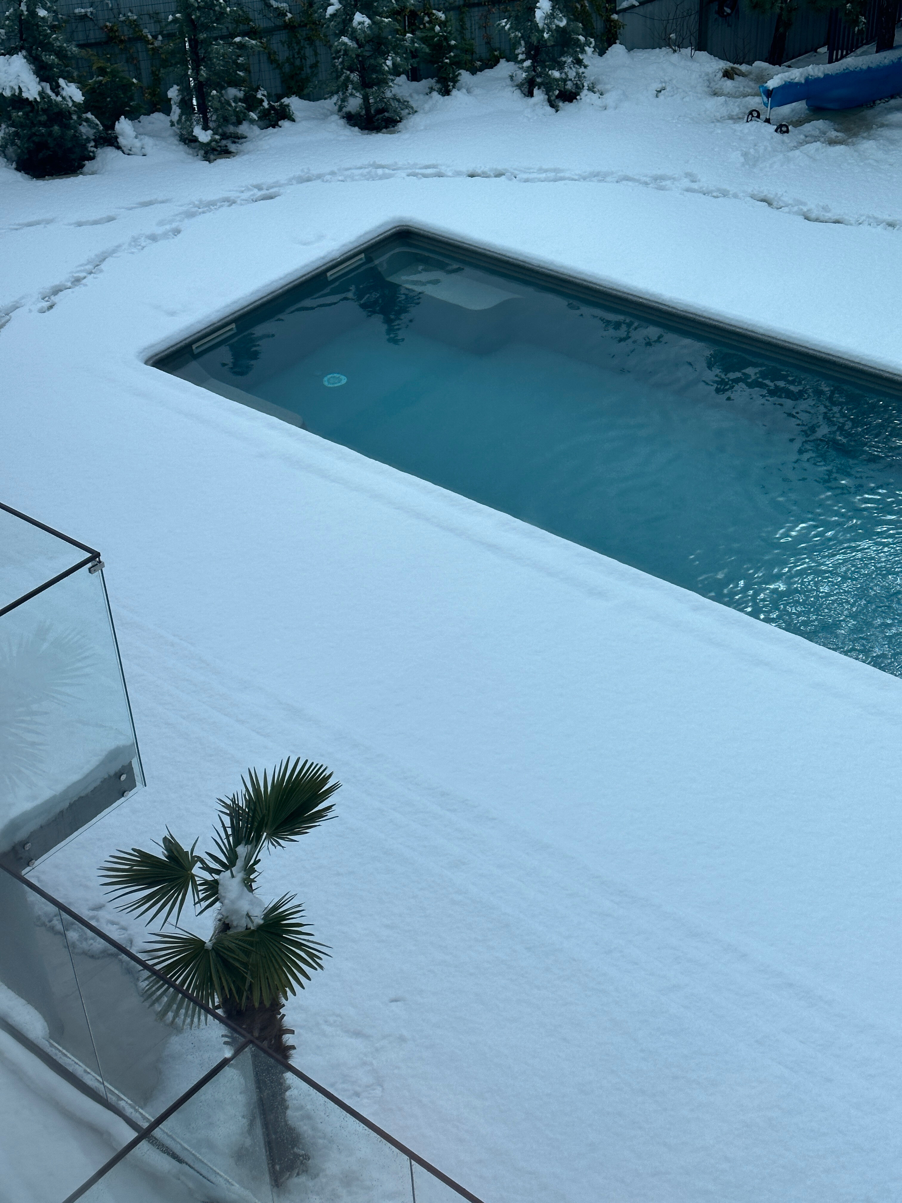 Фото ЛаПальма