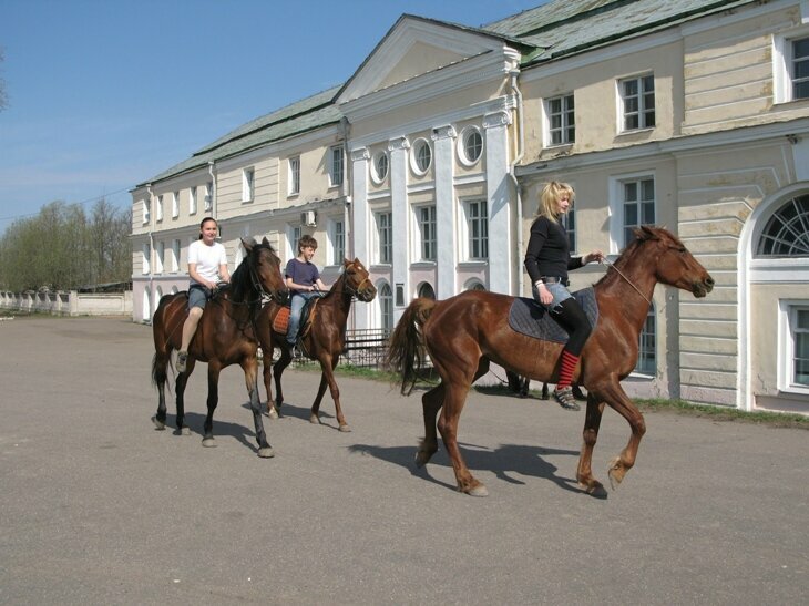 Horse riding Equestrian Department Complex Free Riding Equestrian Free Riding, Saint‑Petersburg and Leningrad Oblast, photo