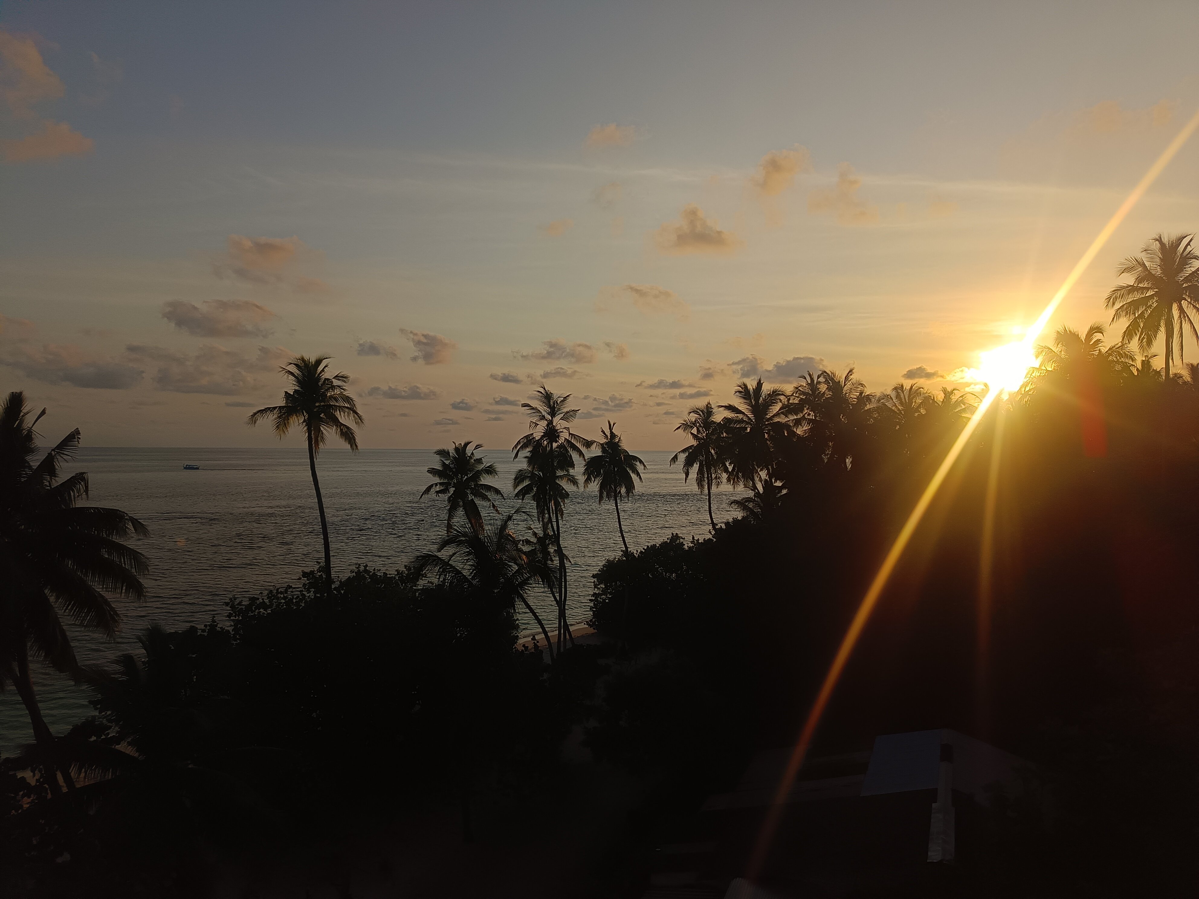 Фото Viva Beach & SPA Maldives