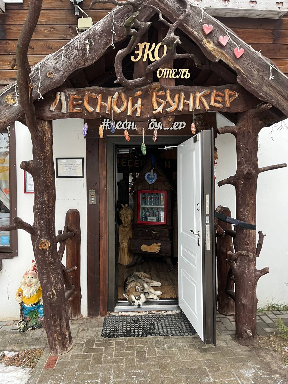 Фото Лесной бункер