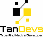 TanDevs (Garibaldi Street, 15), it company