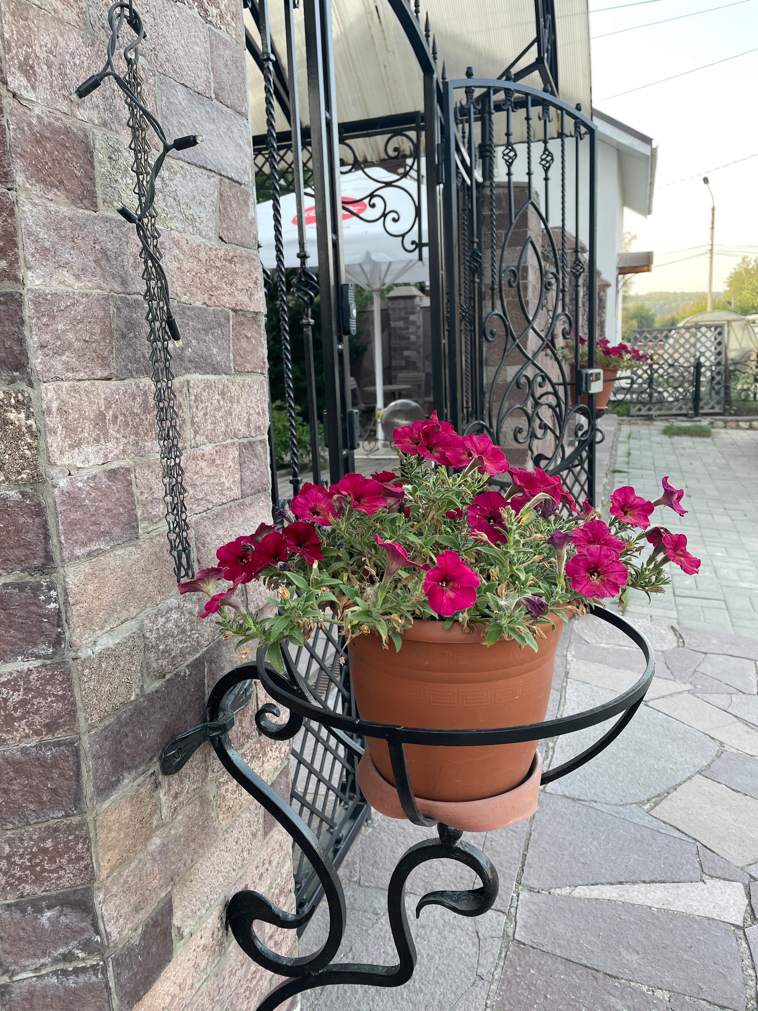 Фото Арслан