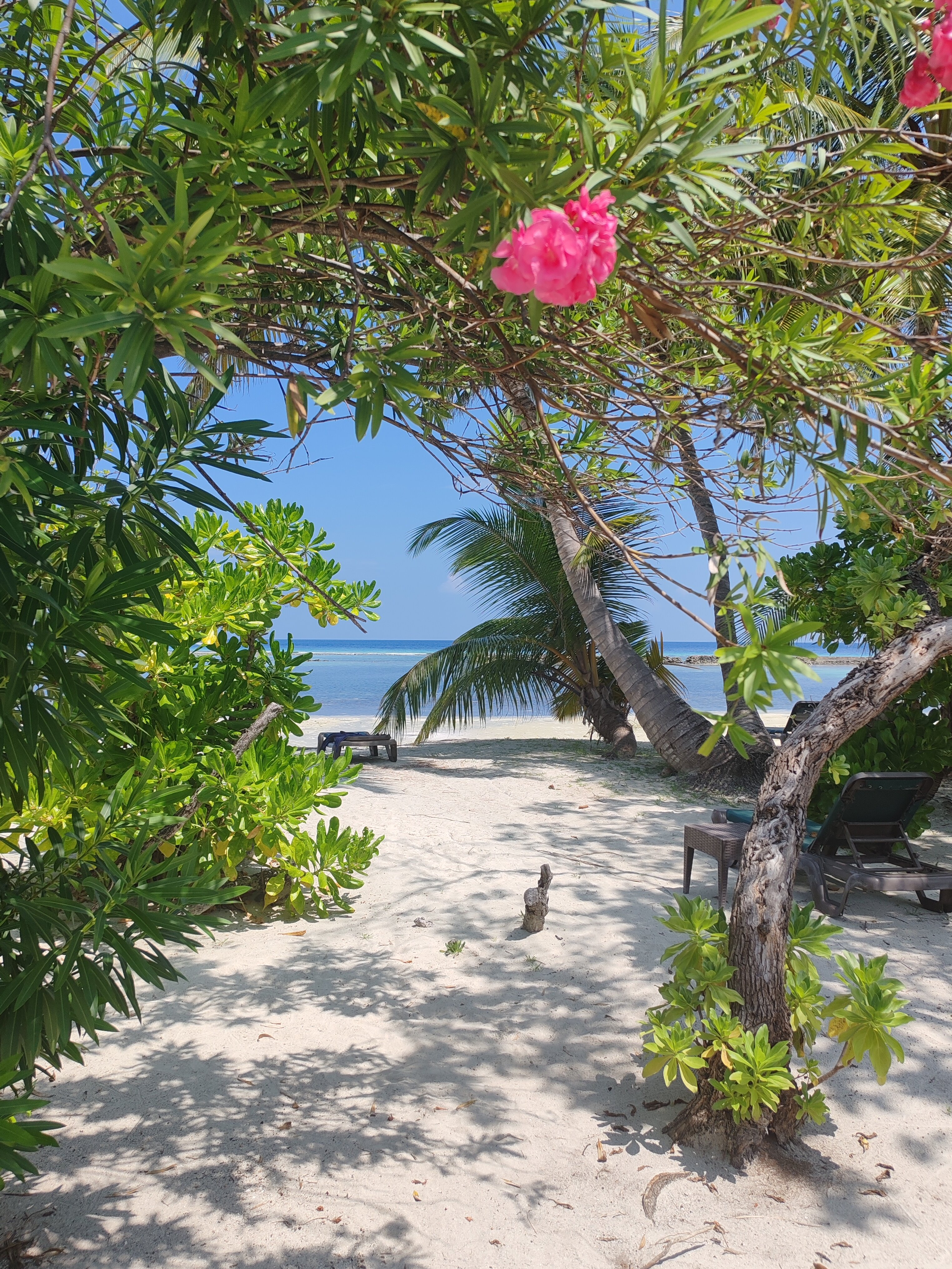 Фото Kuredu Resort and SPA