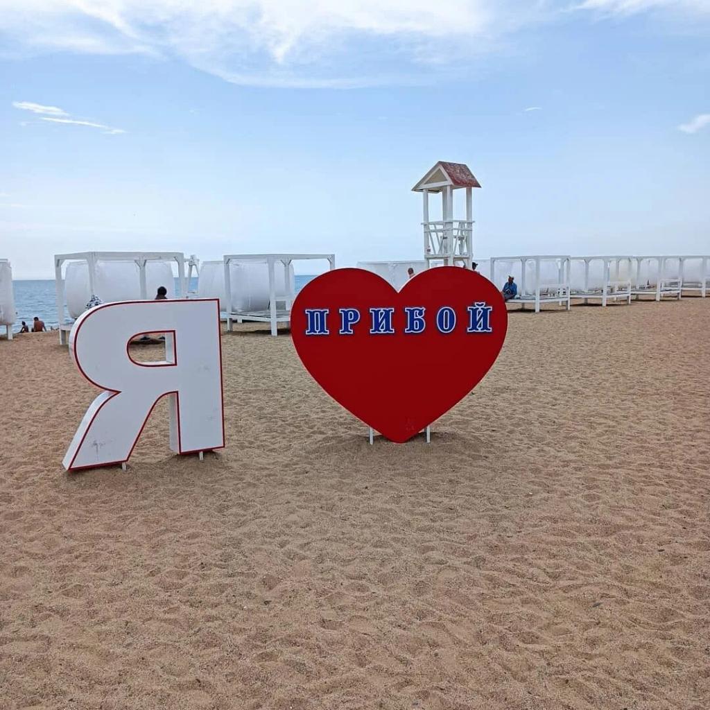 Фото Кальмар