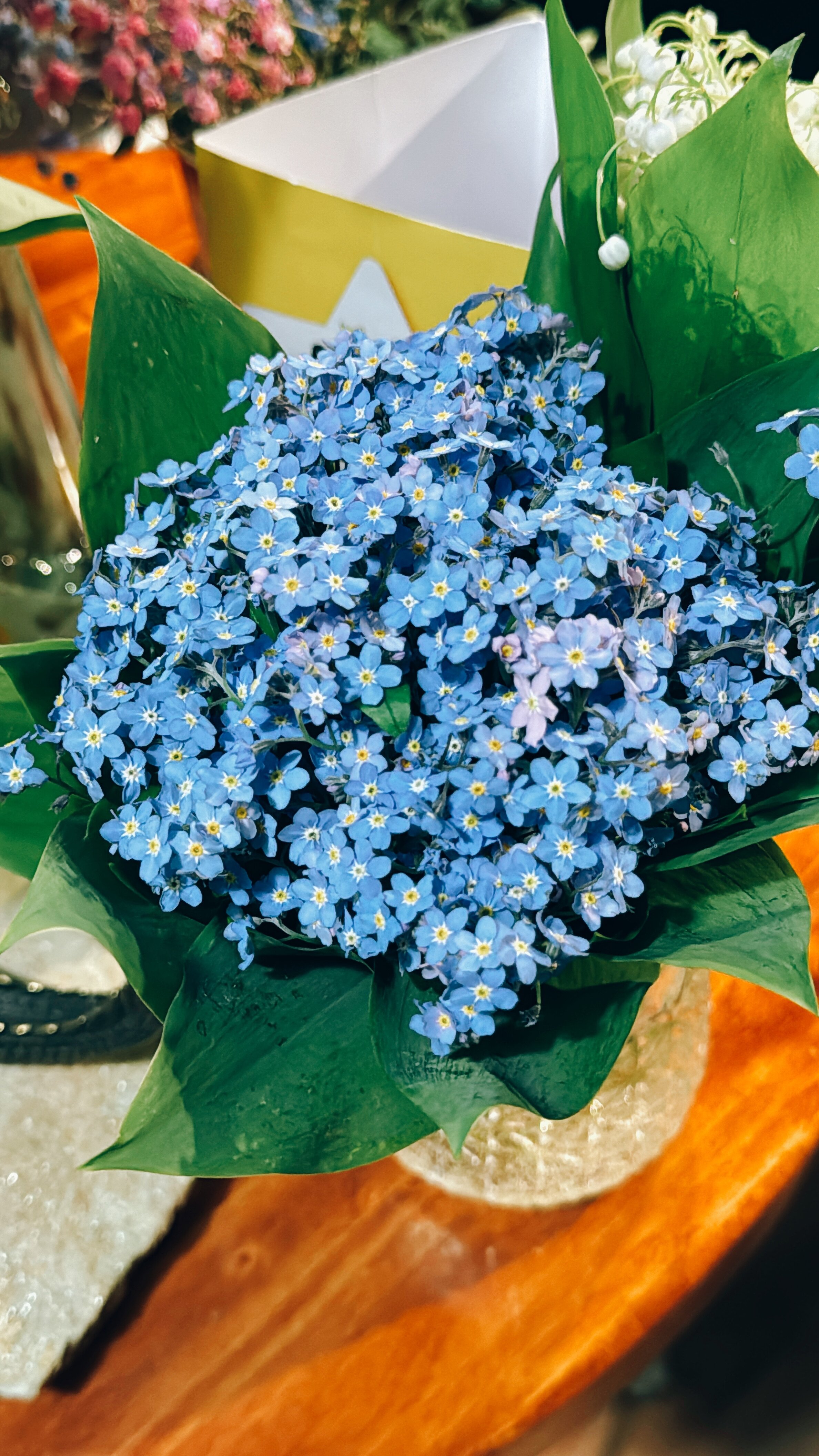 Фото Галерея