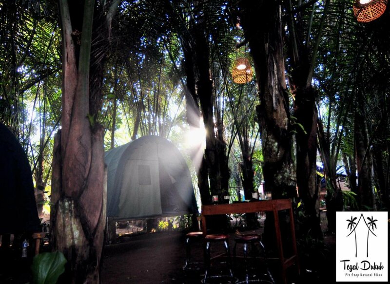 Гостиница Tegal Dukuh Camp