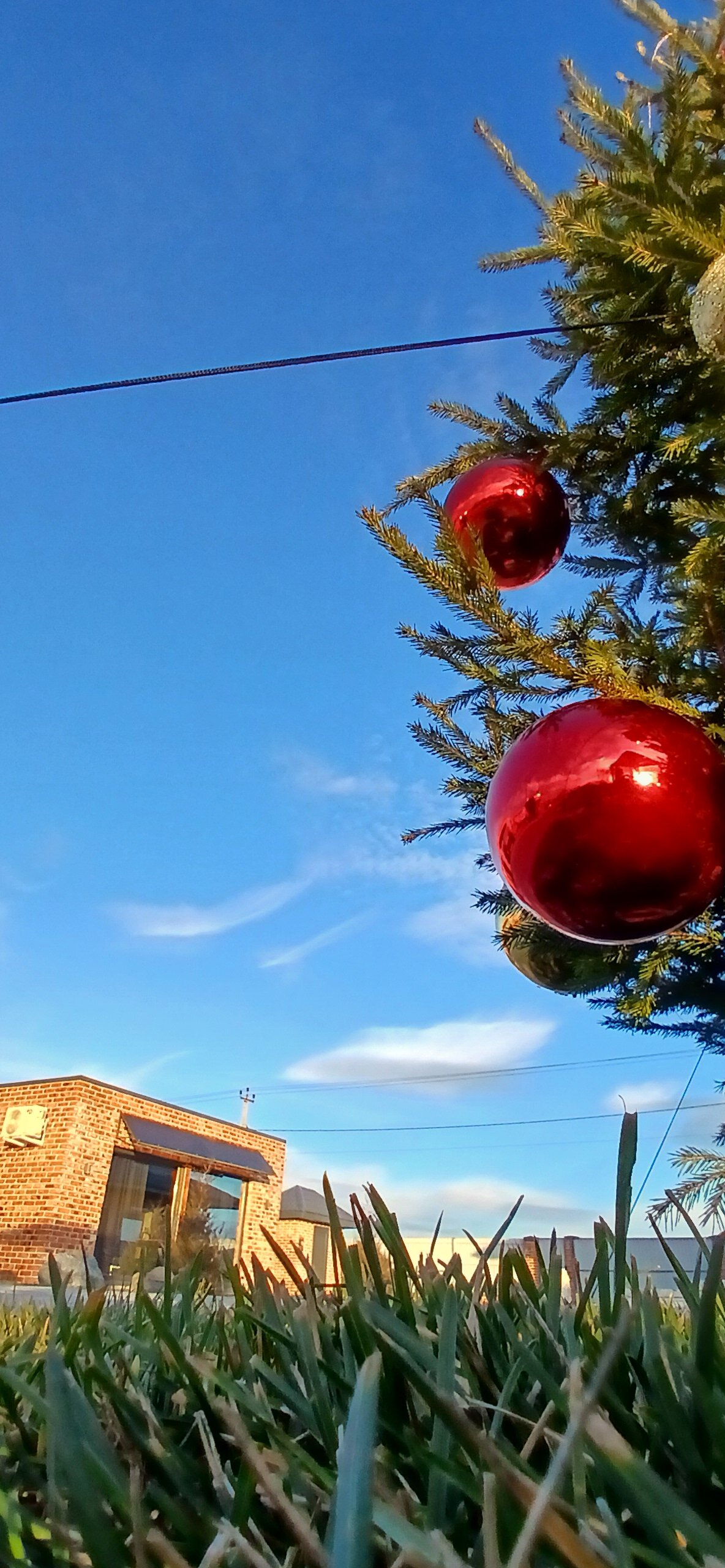 Фото Мур Мур