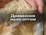 Вологодская древесина (Mira Street, 61А), management company
