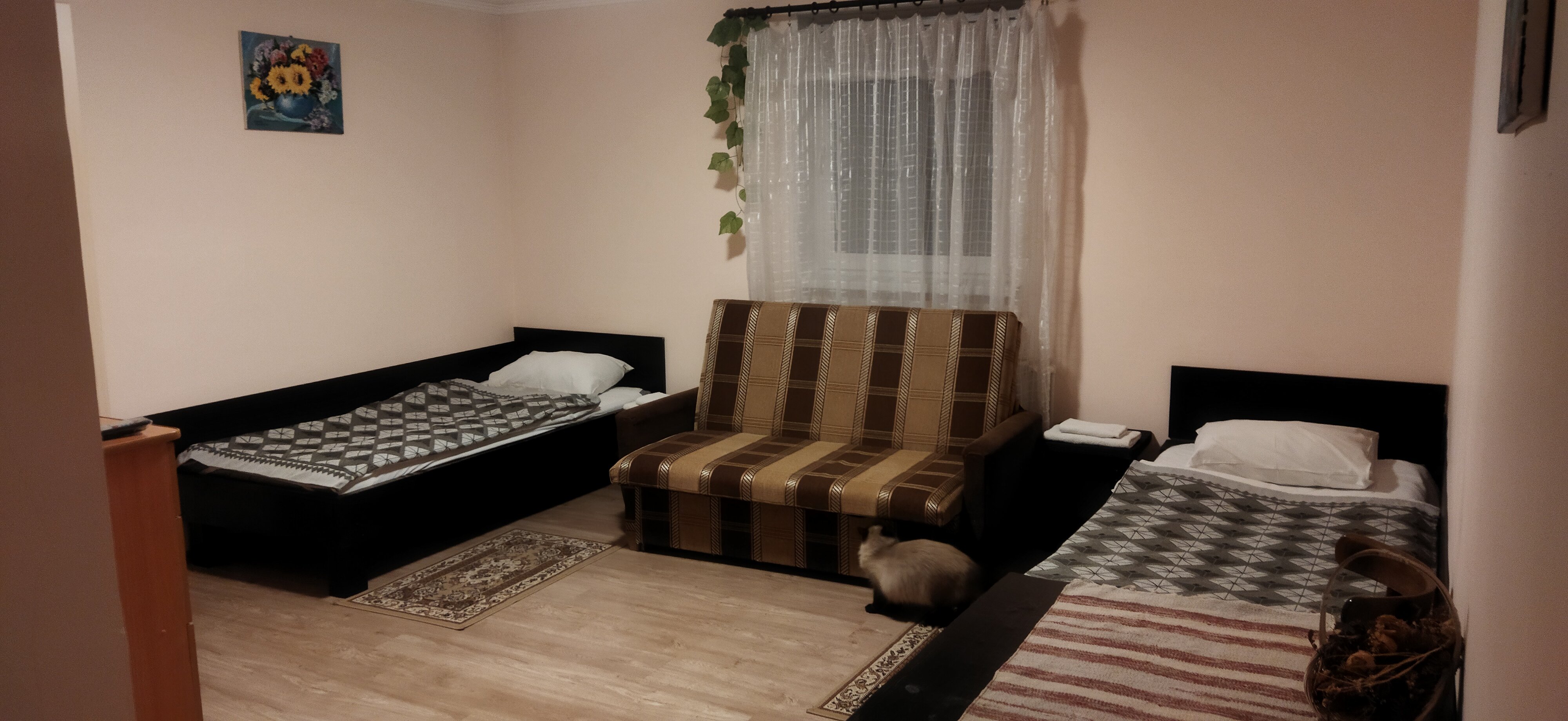 Фото Мини-отель Тучков 3