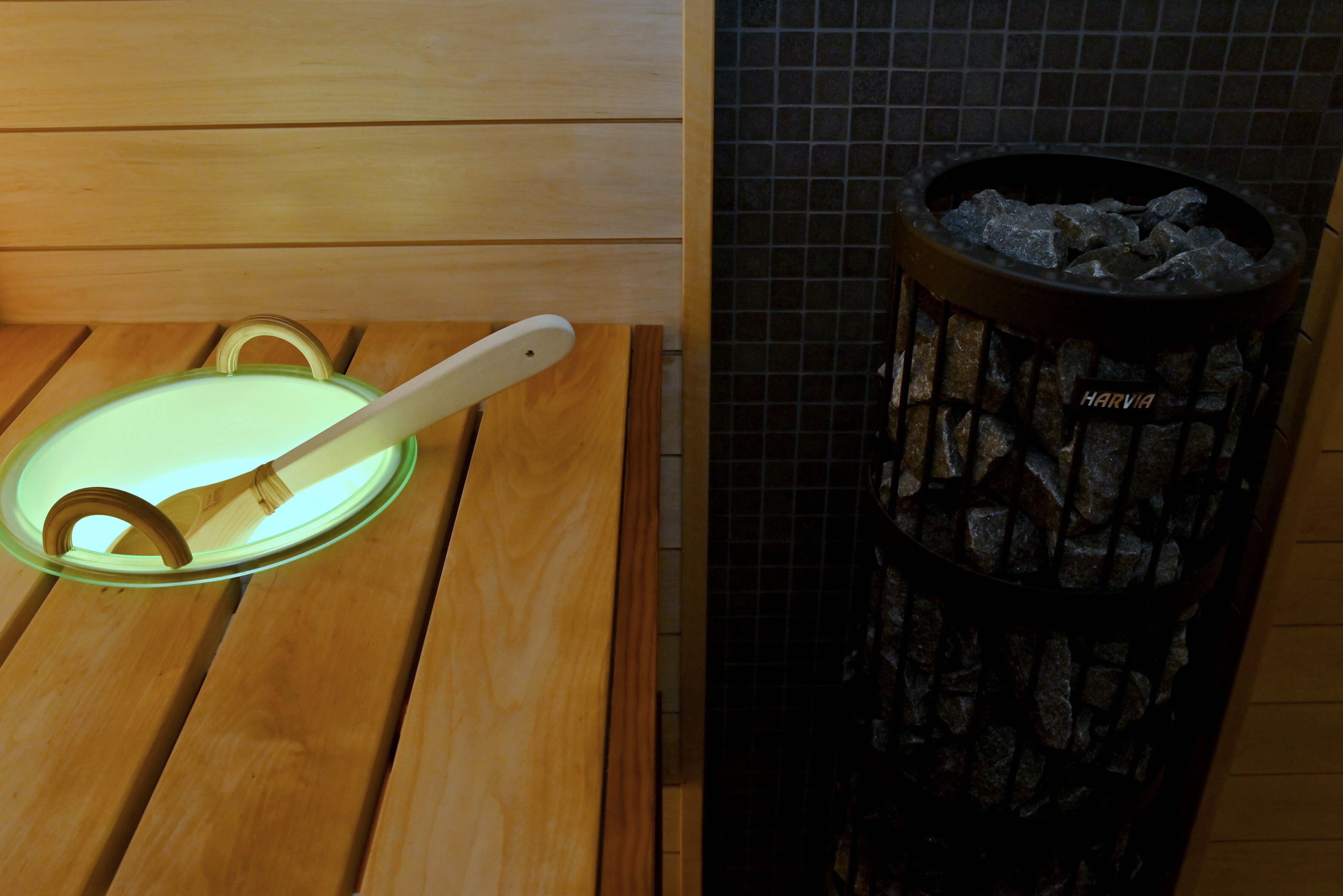 Фото Династия