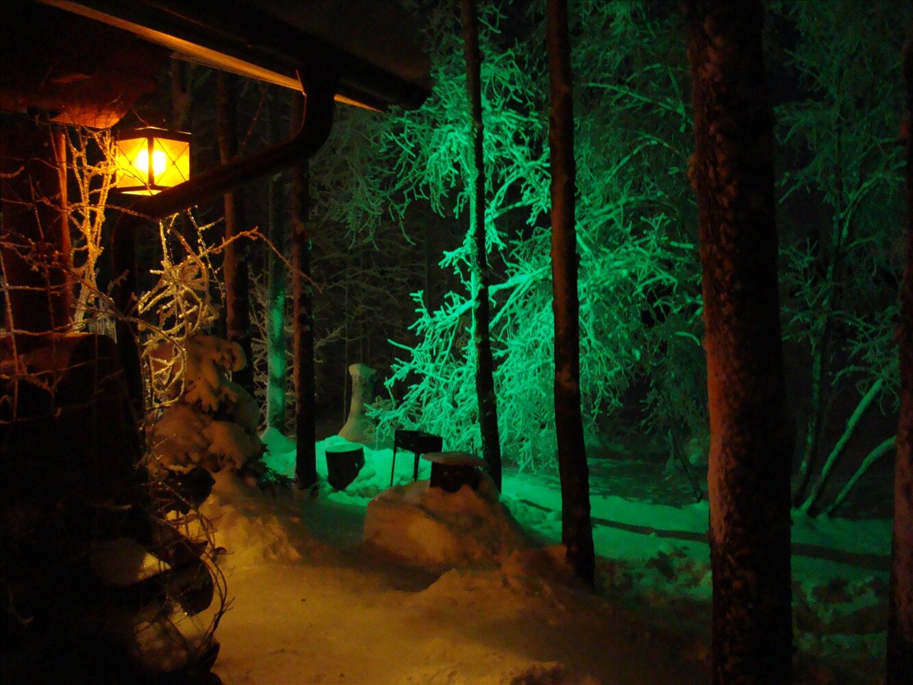 Фото Коттедж Рябиновка