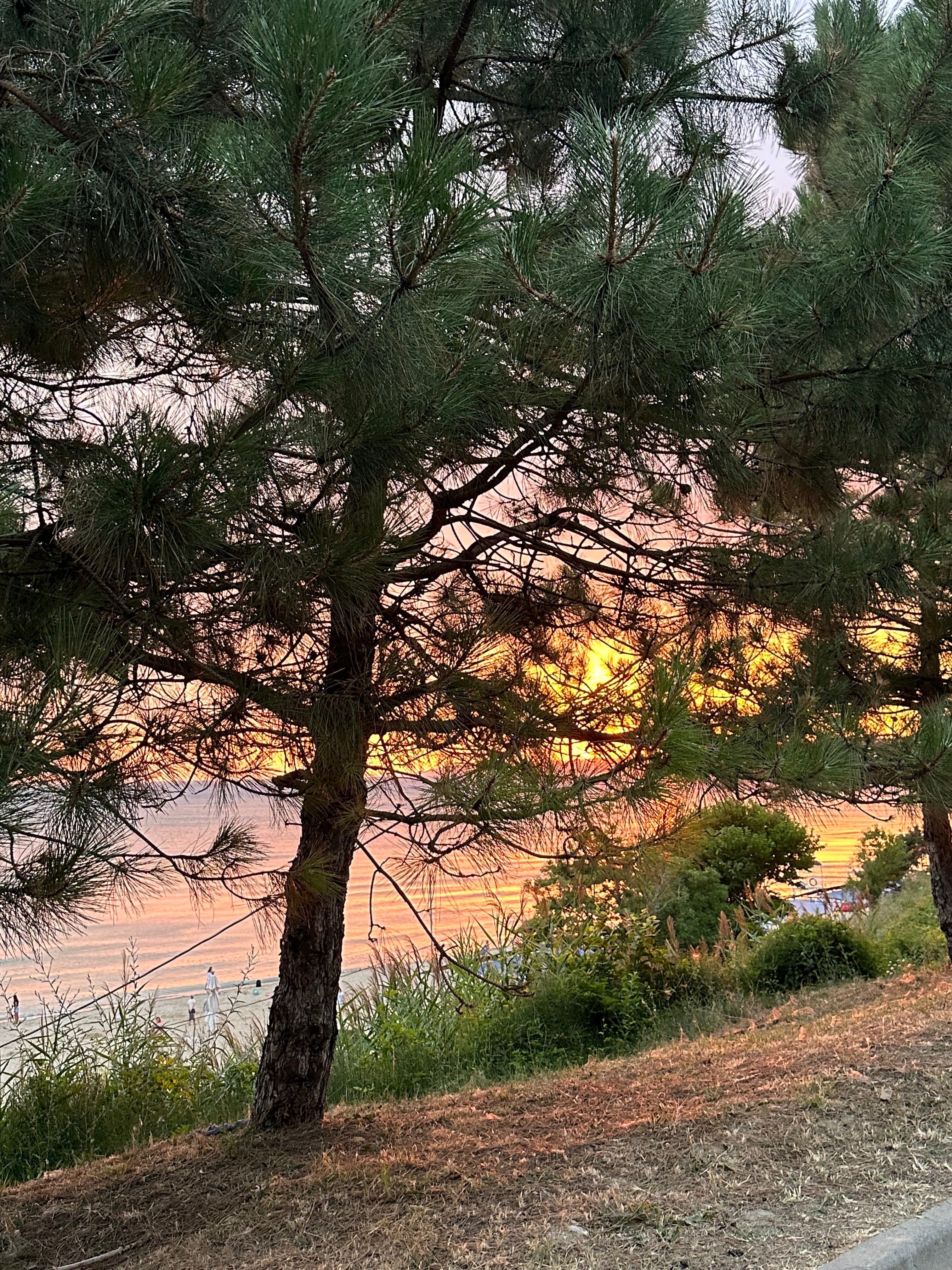 Фото Ассоль и К'