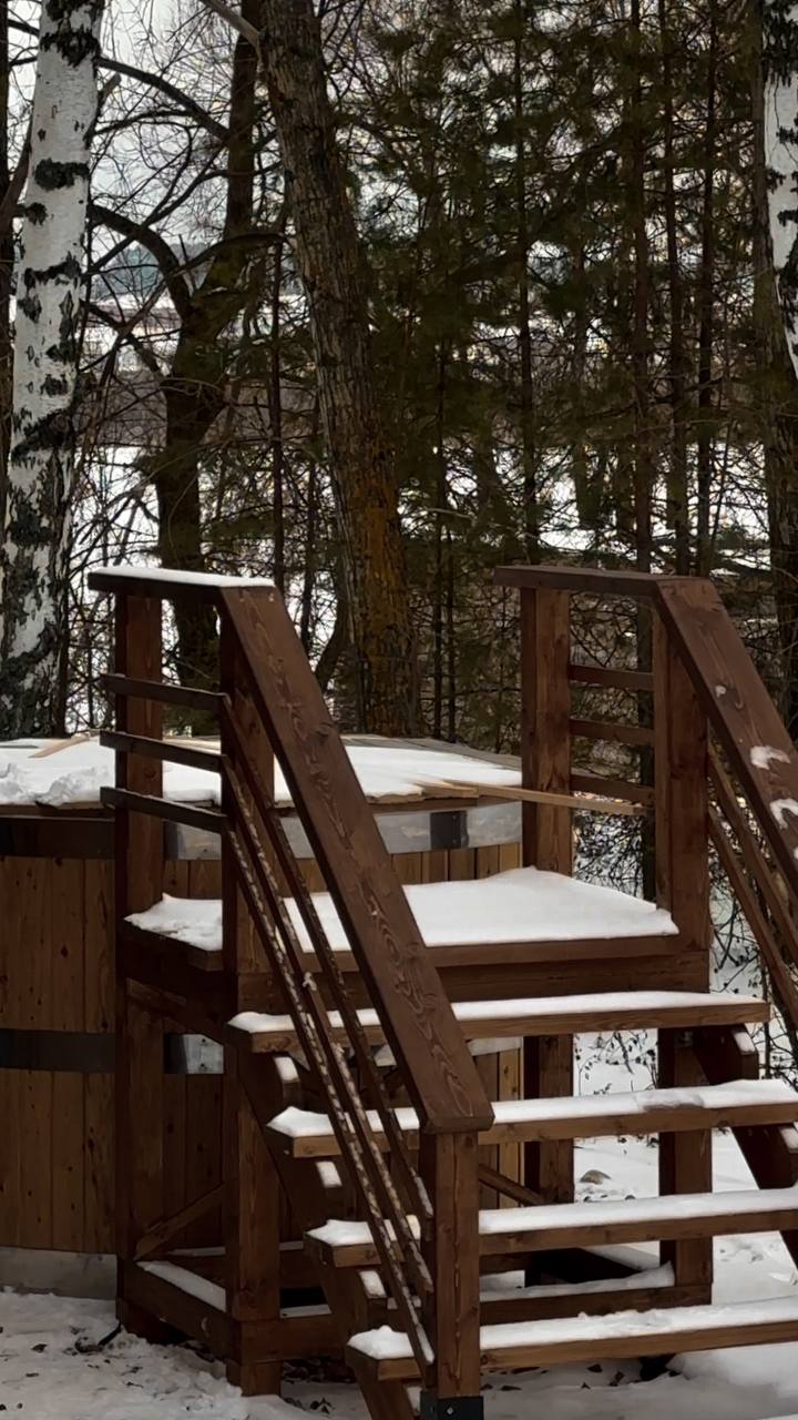 Фото Караси