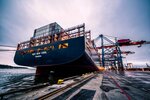 Move One Moving and Storage Pet Shipping - (Almaty, 134), freight forwarding