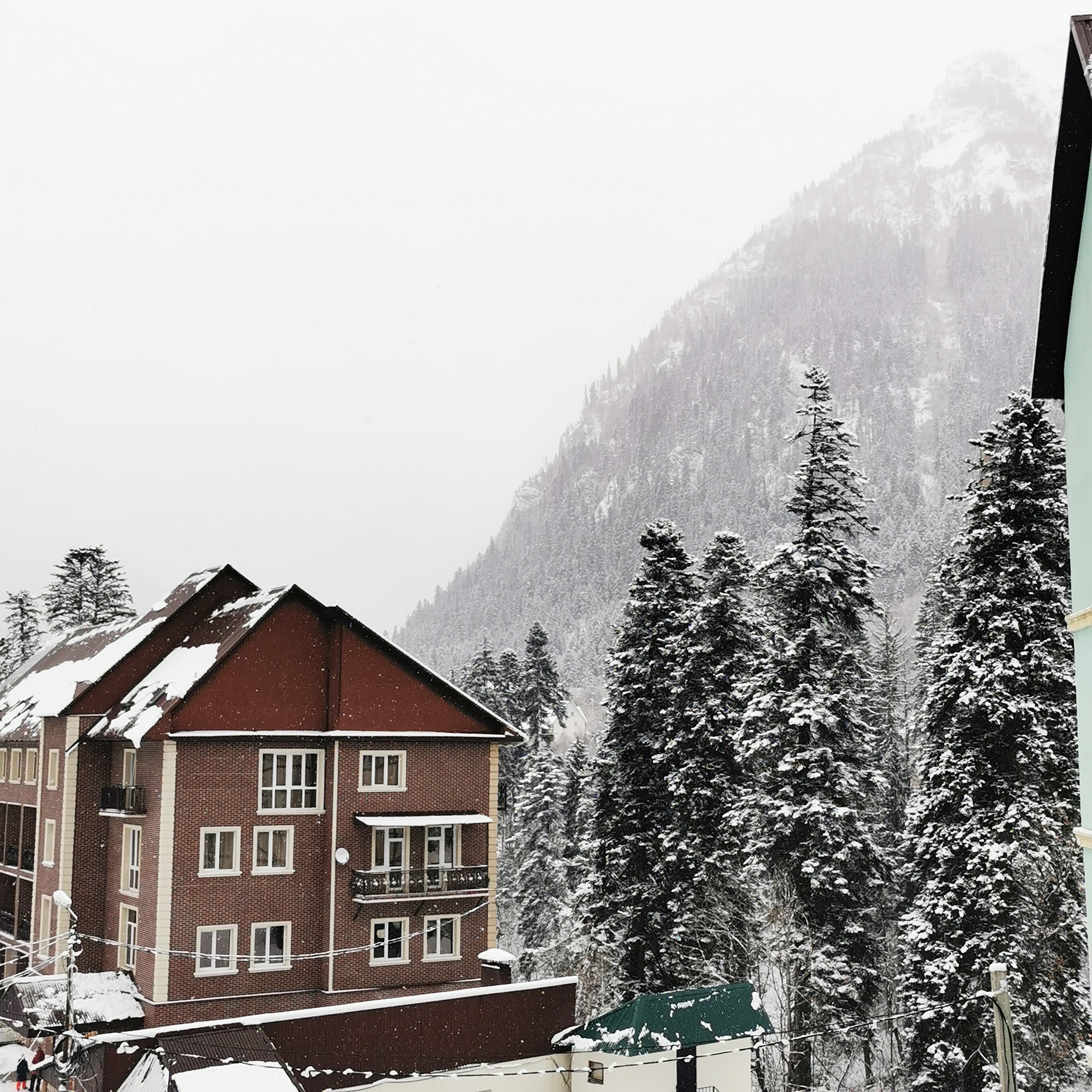 Фото Алатау Люкс