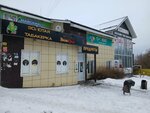 Золотая табакерка (14th Street, 56А/1), estanco