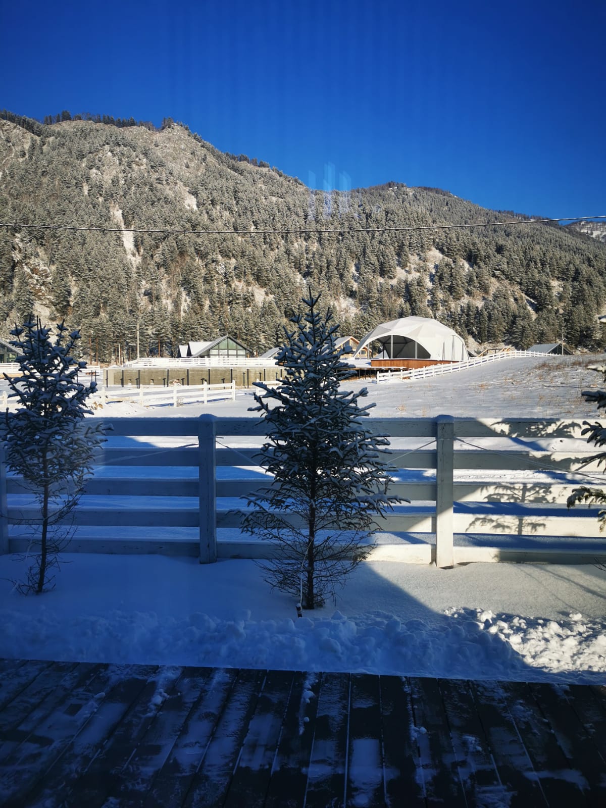 Фото Altay dream house