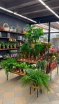 Mnogo tsvetov (Profsoyuznaya Street, 66с1), flower shop