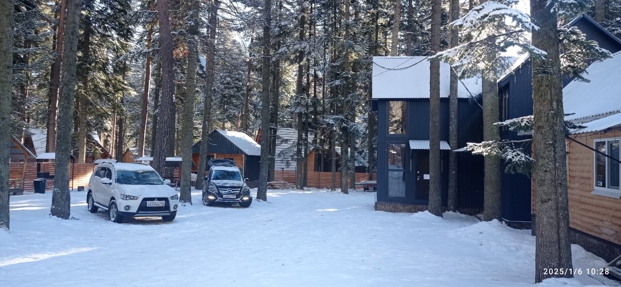 Фото Пихтовый парк