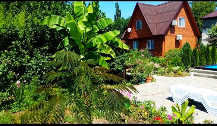 Фото Сказка