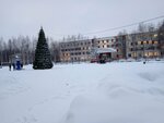Черный пояс (Komsomolskiy bulvar, 3), sports club