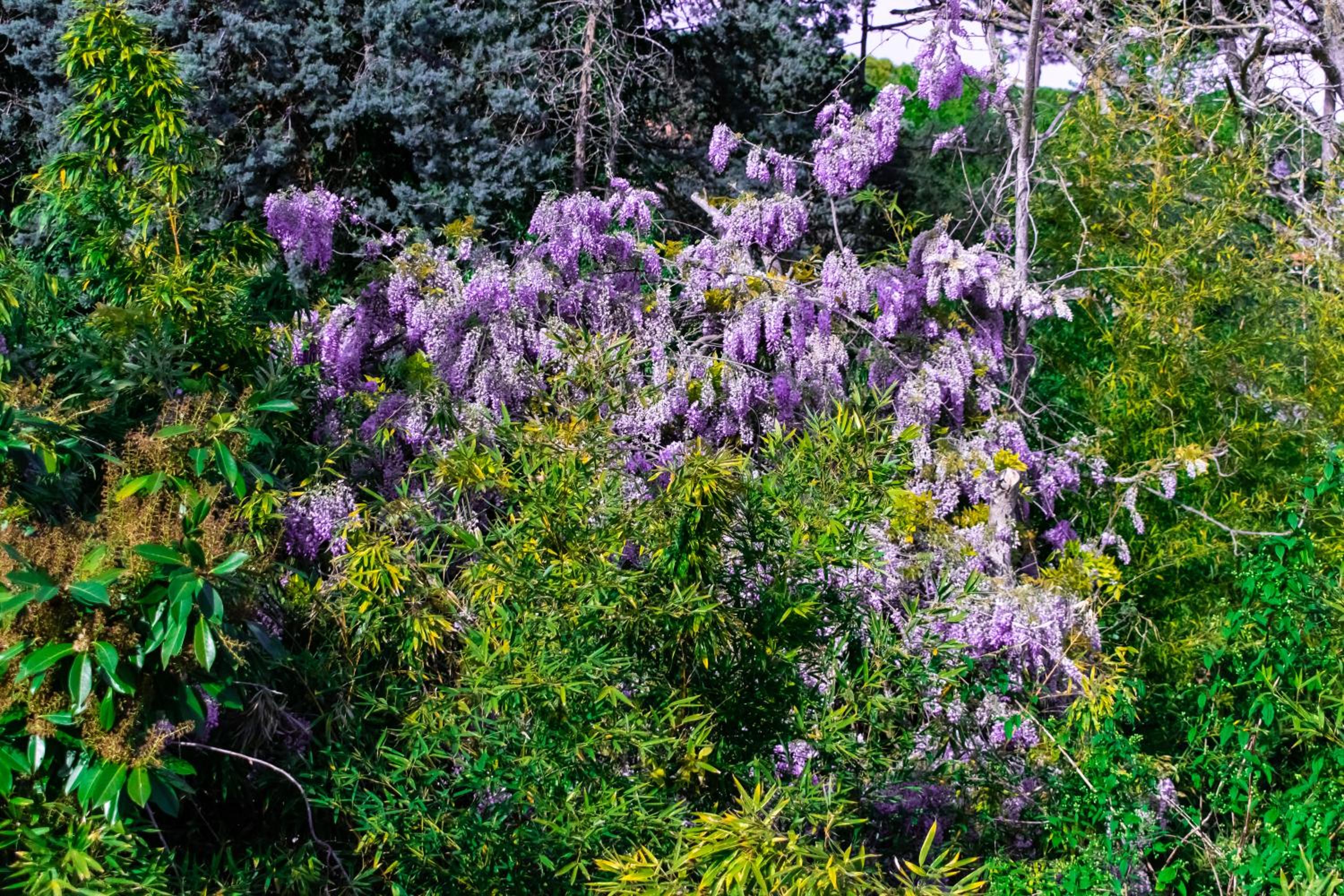 Фото Residence al Lago