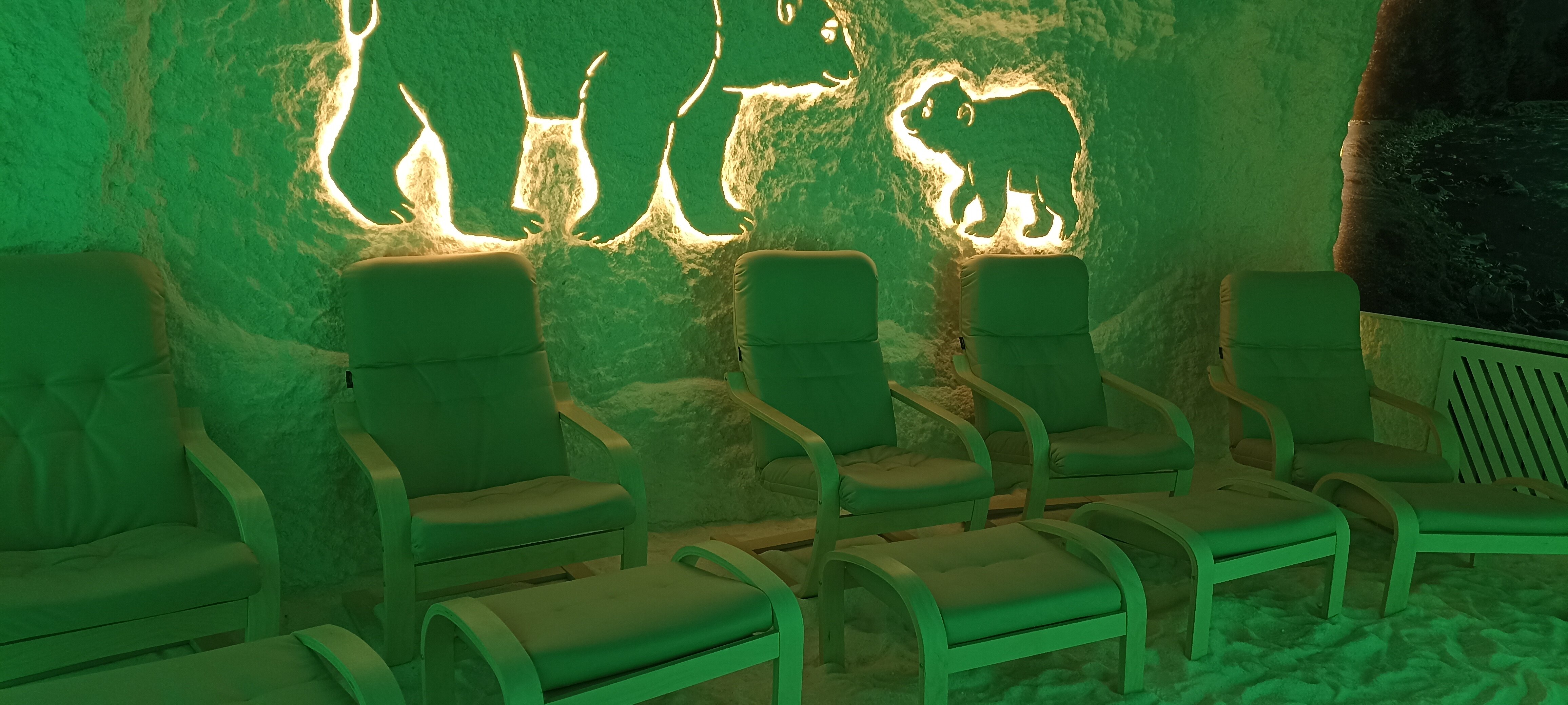 Фото Ромашка