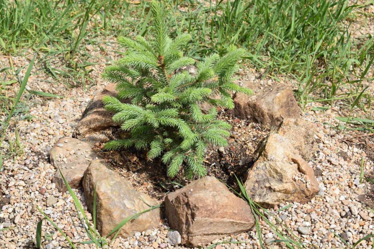 Фото Irbis Hotel