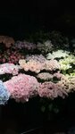 Flowers bar (Shabolovka Street, 2с1), flower shop