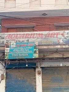 Aquarium Art (Province of Punjab, Rawalpindi, Naya Mohalla, Alam Khan Road), museum